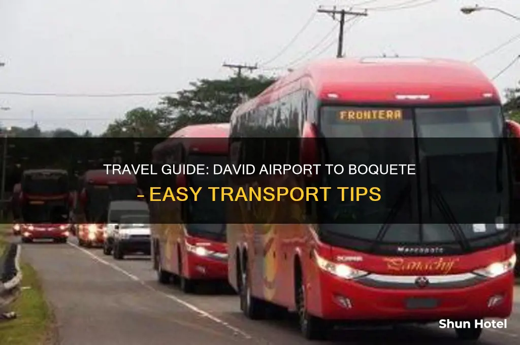 how to get from david airport to boquete
