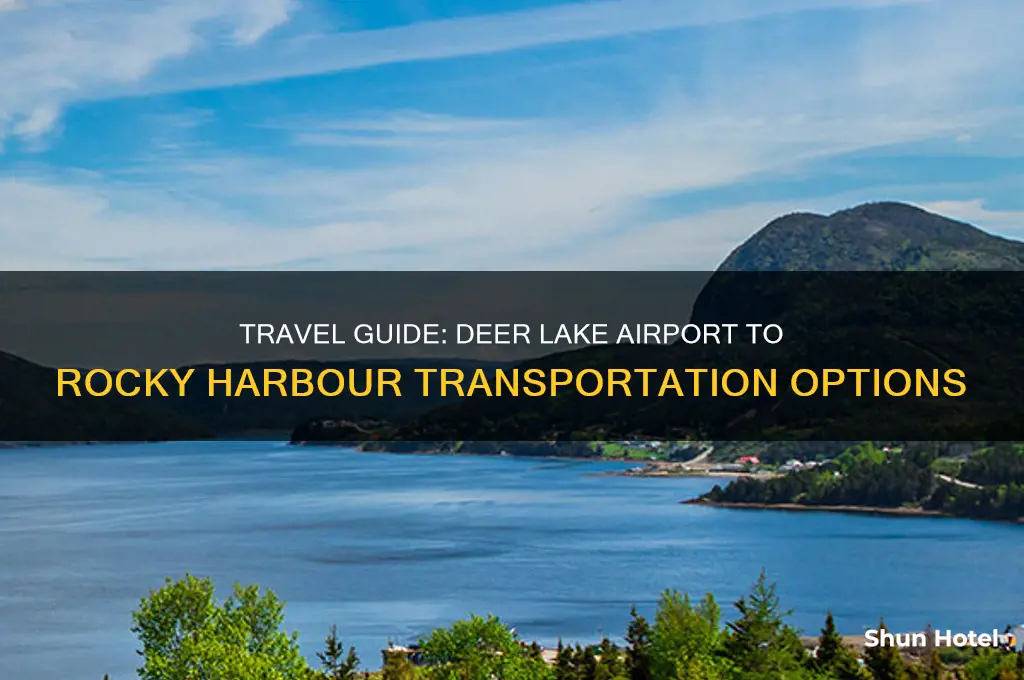 how to get from deer lake airport to rocky harbour