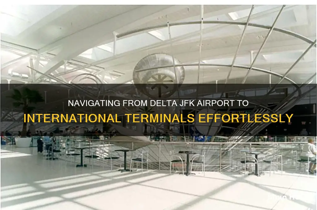 how to get from delta airport jfk ny to international