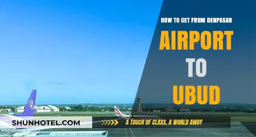 Easy Travel Guide: Denpasar Airport to Ubud Transport Options