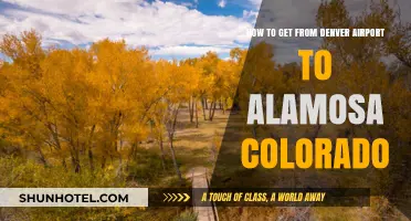 Denver Airport to Alamosa: Easy Transportation Options and Tips