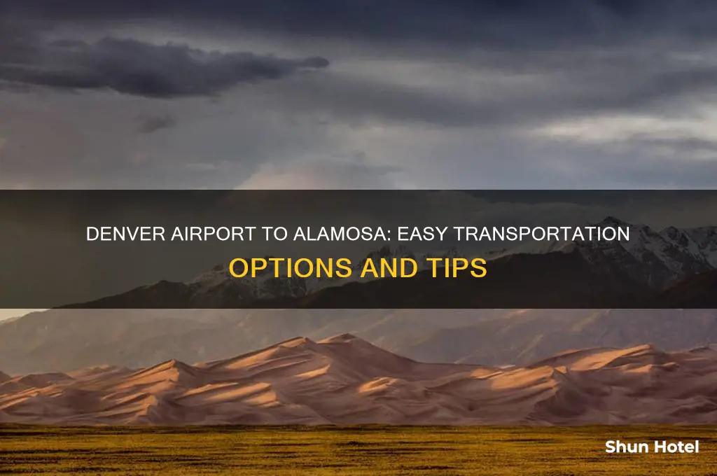 how to get from denver airport to alamosa colorado