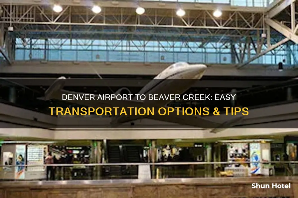 how to get from denver airport to beaver creek