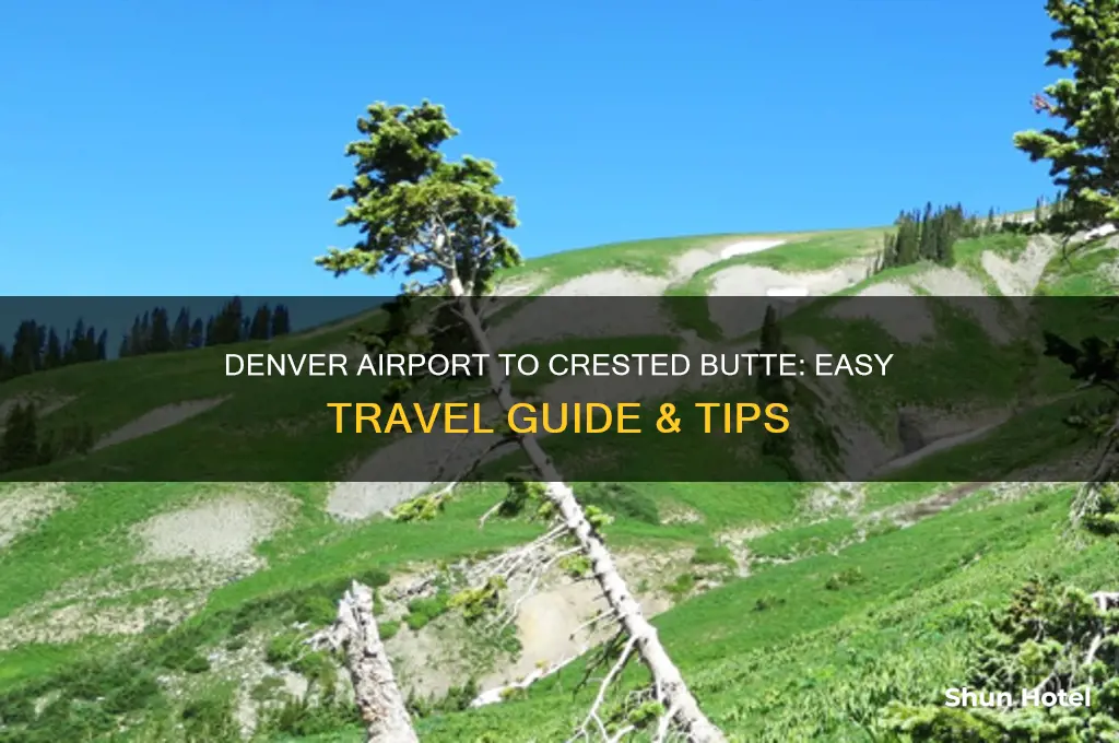 how to get from denver airport to crested butte
