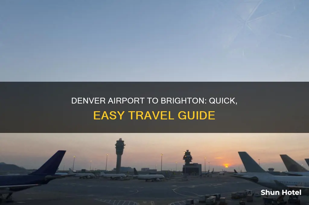 how to get from denver international airport to brighton