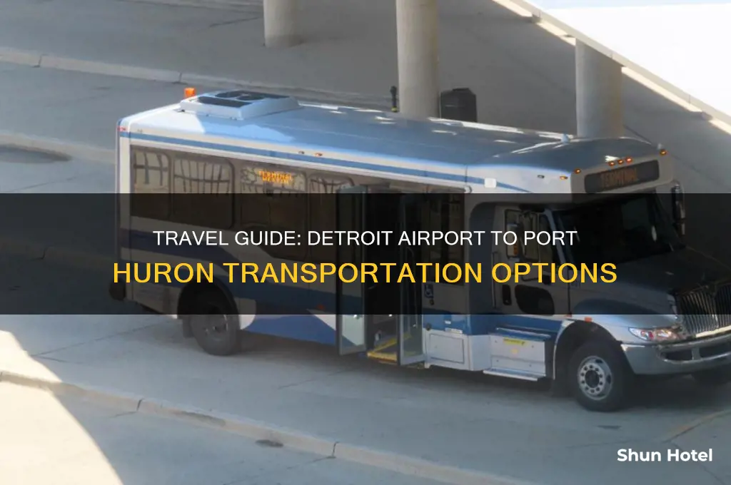 how to get from detroit airport to port huron