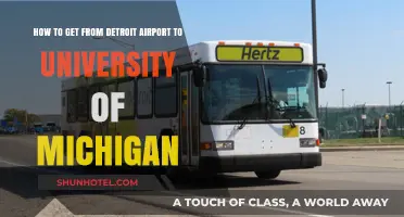 Detroit Airport to University of Michigan: Easy Transportation Options