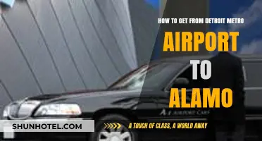Detroit Metro Airport to Alamo: Quick, Easy Transportation Options