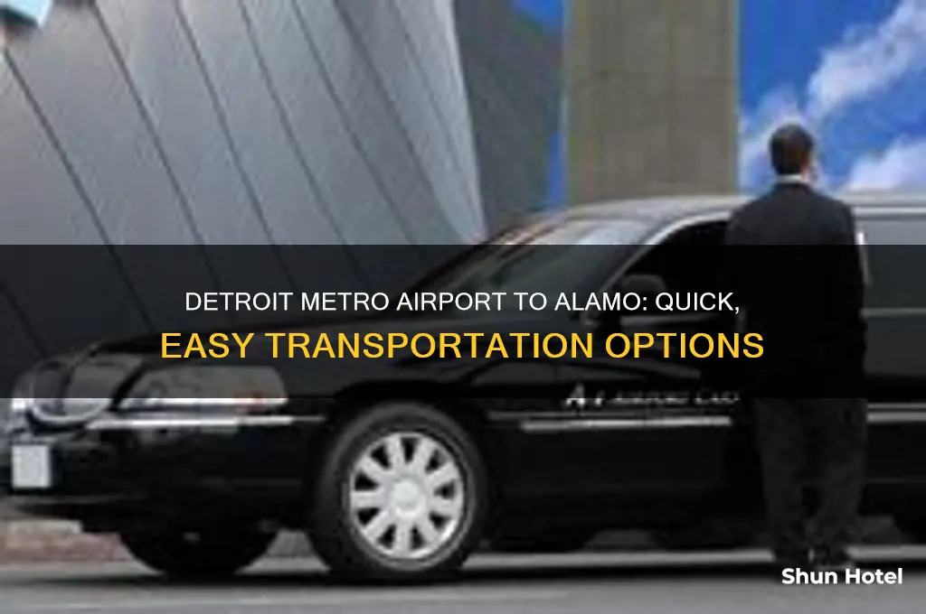how to get from detroit metro airport to alamo