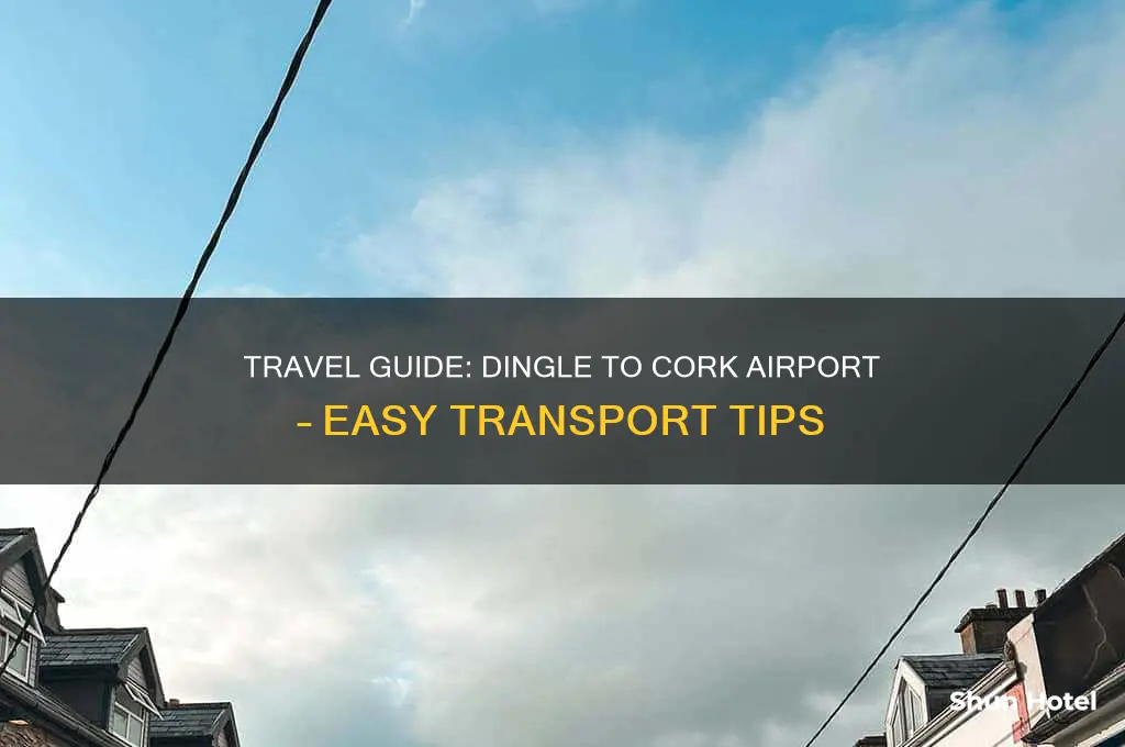 how to get from dingle to cork airport