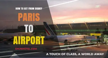 Easiest Ways to Travel from Disneyland Paris to the Airport