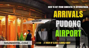 Navigating Pudong Airport: Seamless Transfer from Domestic to International Arrivals