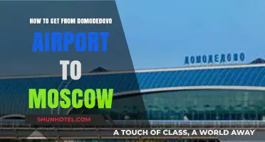 Easiest Ways to Travel from Domodedovo Airport to Moscow City Center