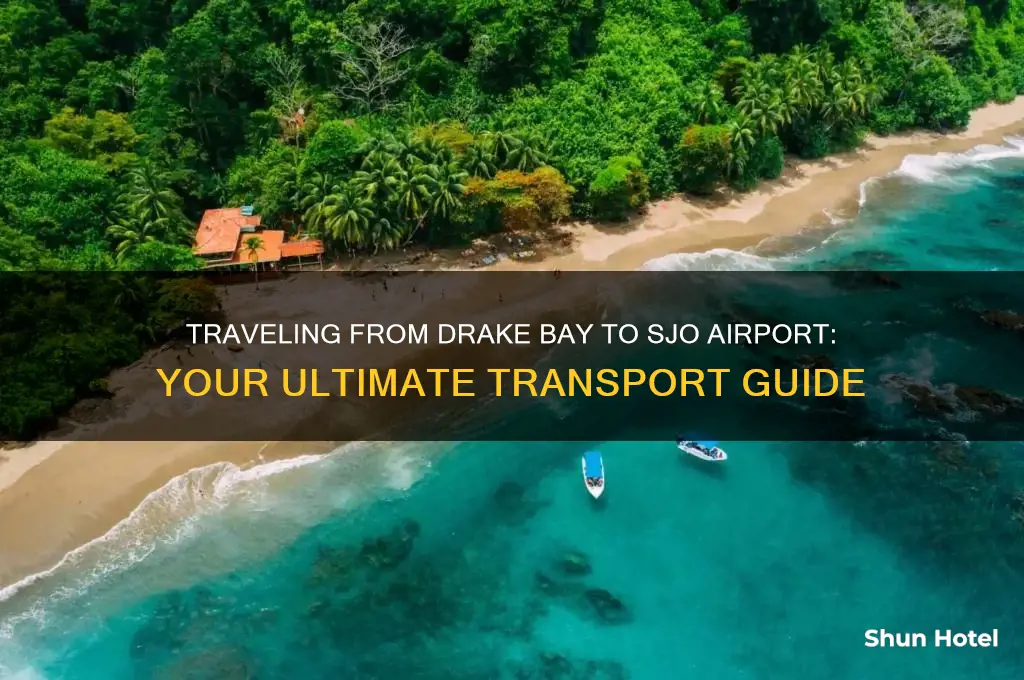 how to get from drake bay to sjo airport