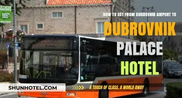 Easy Transport Options: Dubrovnik Airport to Dubrovnik Palace Hotel Guide