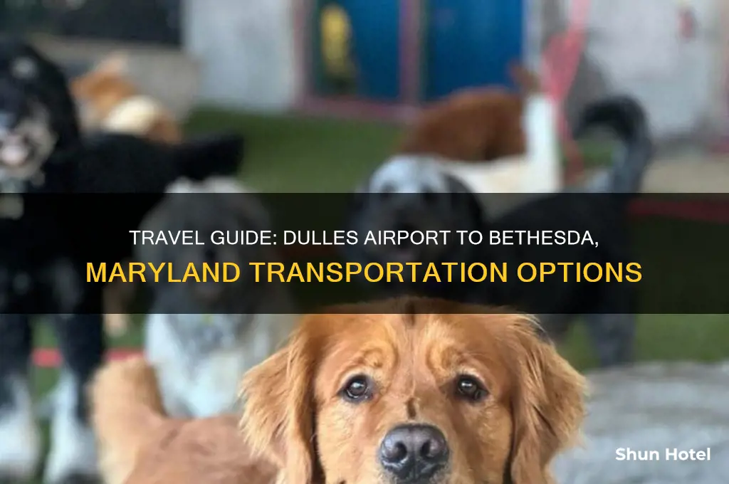 how to get from dulles airport to bethesda maryland