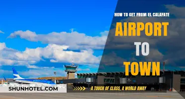 Traveling from El Calafate Airport to Town: Easy Transport Options