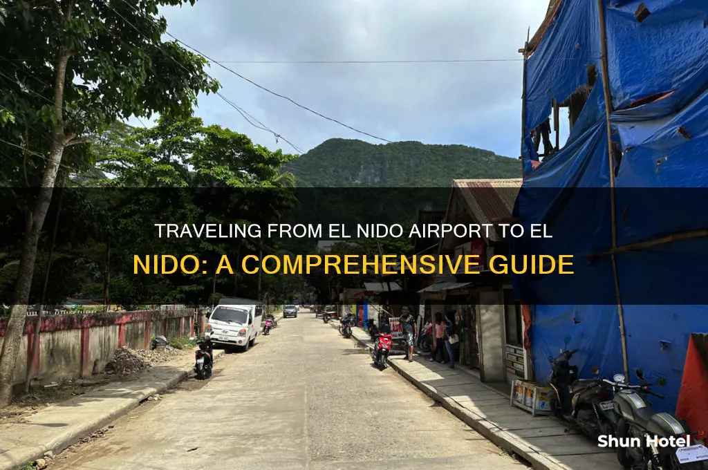 how to get from el nido airport to el nido
