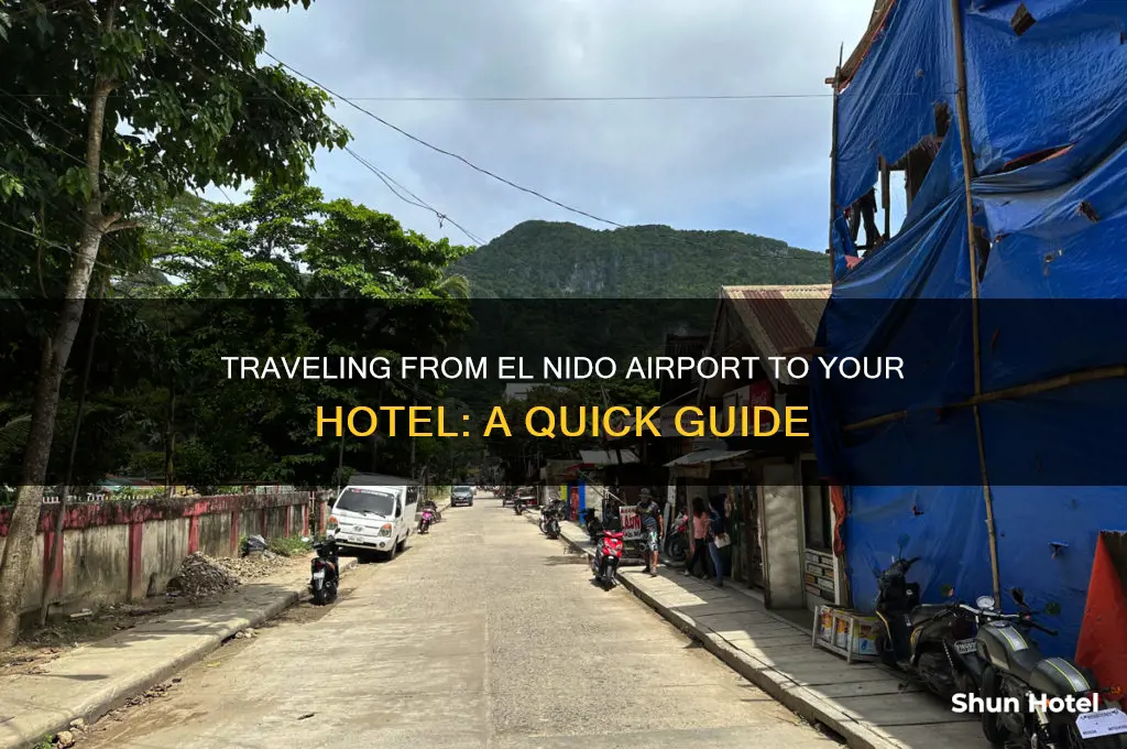 how to get from el nido airport to hotel