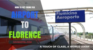 Traveling from FCO Airport to Florence: Easy Transport Options