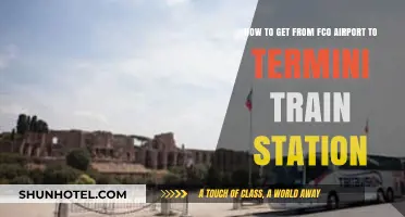 Traveling from FCO Airport to Termini Station: Easy Transport Guide
