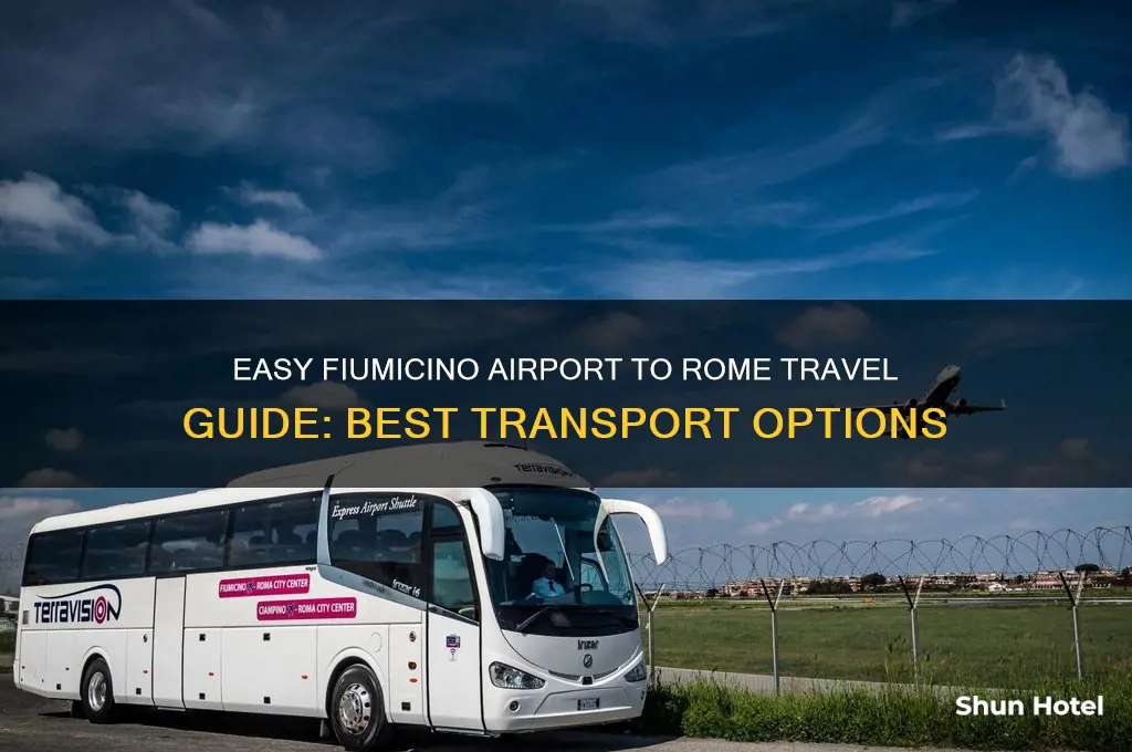 how to get from fiumicino airport into rome