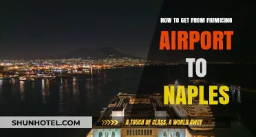 Traveling from Fiumicino Airport to Naples: Easy Transport Options