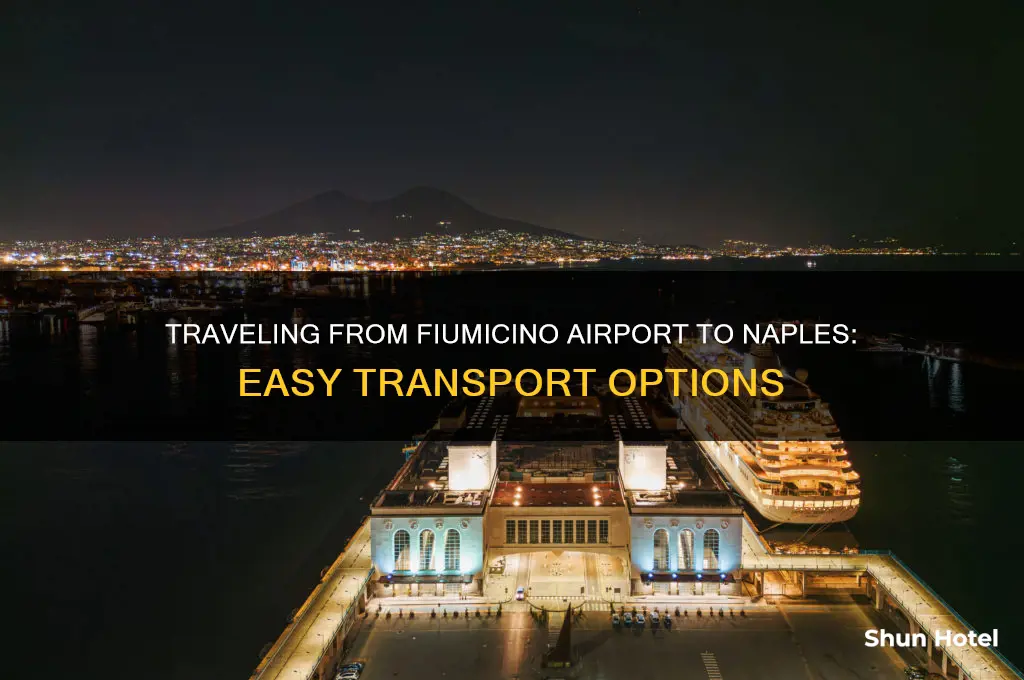 how to get from fiumicino airport to naples