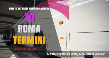 Fiumicino to Roma Termini: Quick & Easy Transport Options