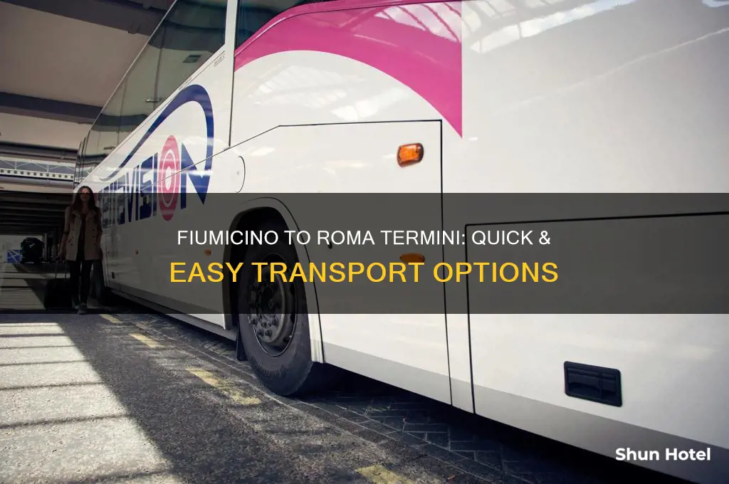 how to get from fiumicino airport to roma termini