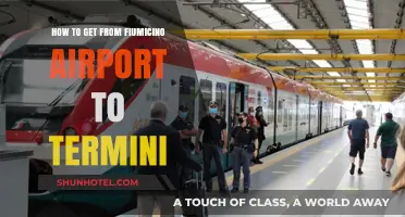 Fiumicino to Termini: Quick & Easy Transport Options Guide