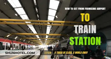 Easy Fiumicino Airport to Train Station Transfer Guide