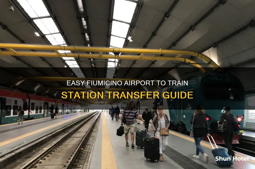 how to get from fiumicino airport to train station