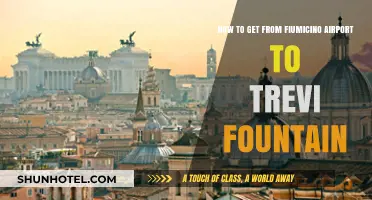 Fiumicino to Trevi Fountain: Quickest Transport Options & Tips