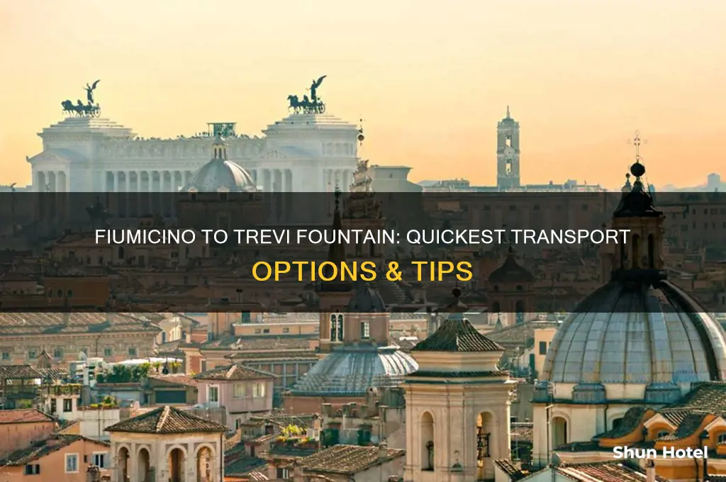 how to get from fiumicino airport to trevi fountain