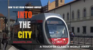 Florence Airport to City Center: Easy Transport Options & Tips