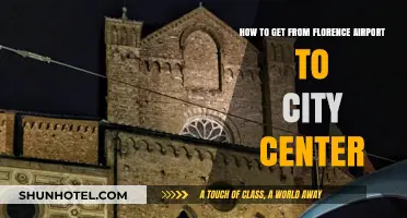 Florence Airport to City Center: Quick, Easy Transport Options