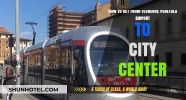 Easy Florence Peretola Airport to City Center Transport Guide