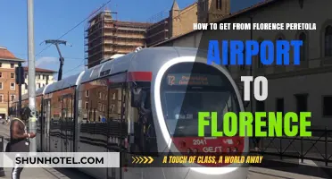 Easy Travel Guide: Florence Peretola Airport to Florence City Center
