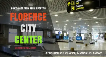 Easy Travel Guide: FLR Airport to Florence City Center