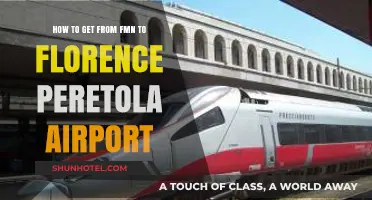 Travel Guide: FMN to Florence Peretola Airport Transportation Options