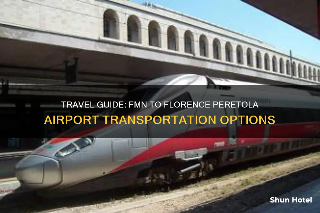 how to get from fmn to florence peretola airport
