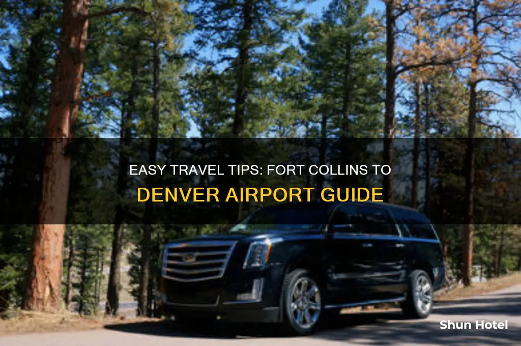 how to get from fort collins to denver airport