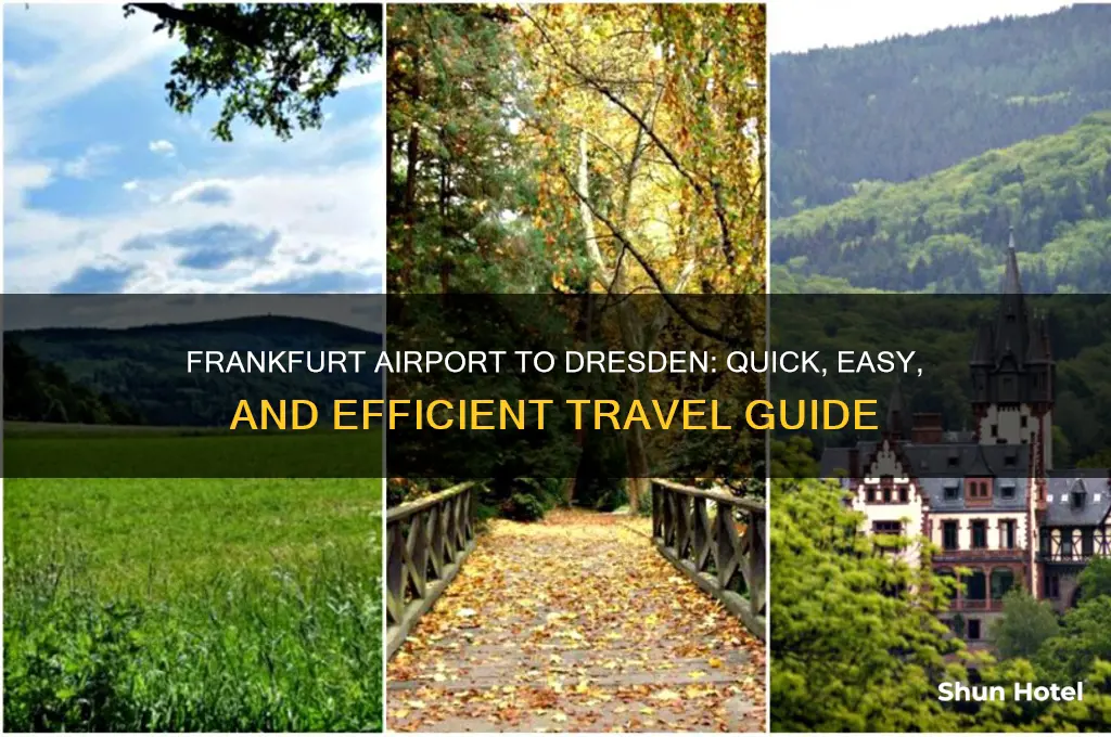 how to get from frankfurt airport to dresden