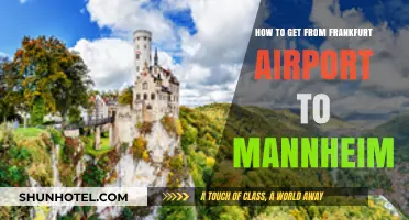 Travel Guide: Frankfurt Airport to Mannheim Transport Options