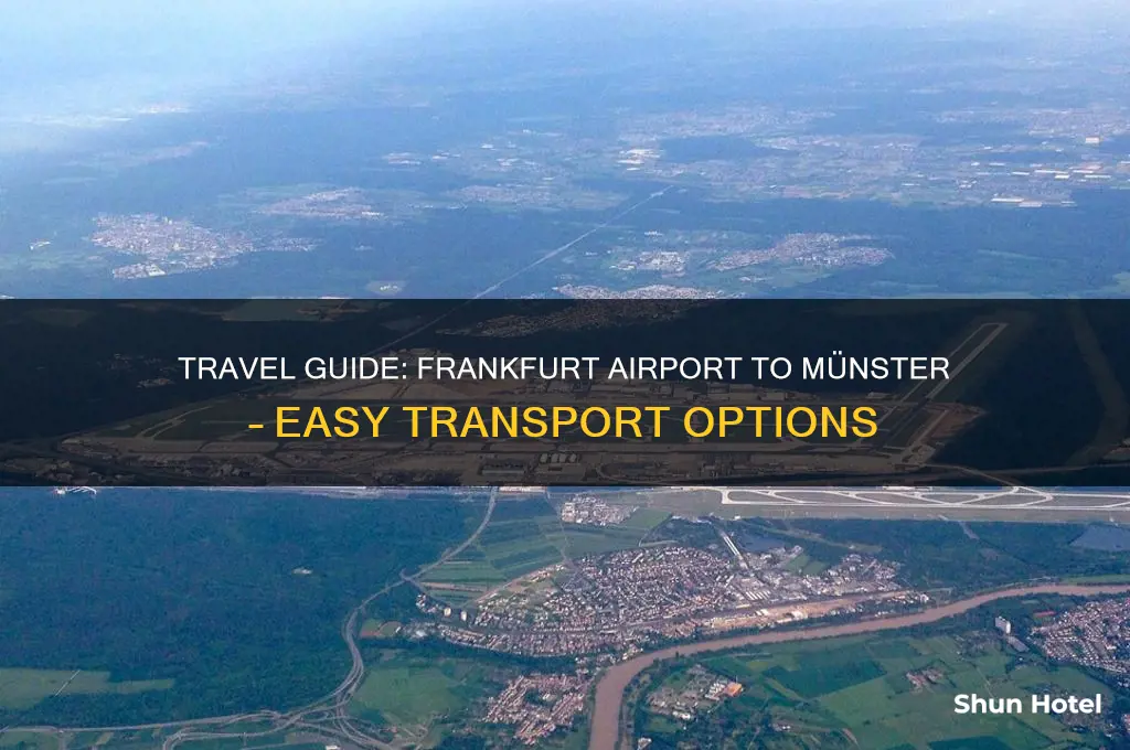 how to get from frankfurt airport to munster