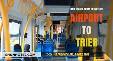 Travel Guide: Frankfurt Airport to Trier Transport Options & Tips