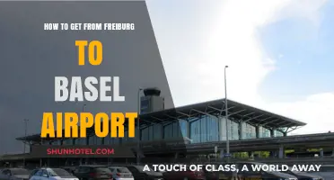 Travel Guide: Freiburg to Basel Airport – Easy Transport Options