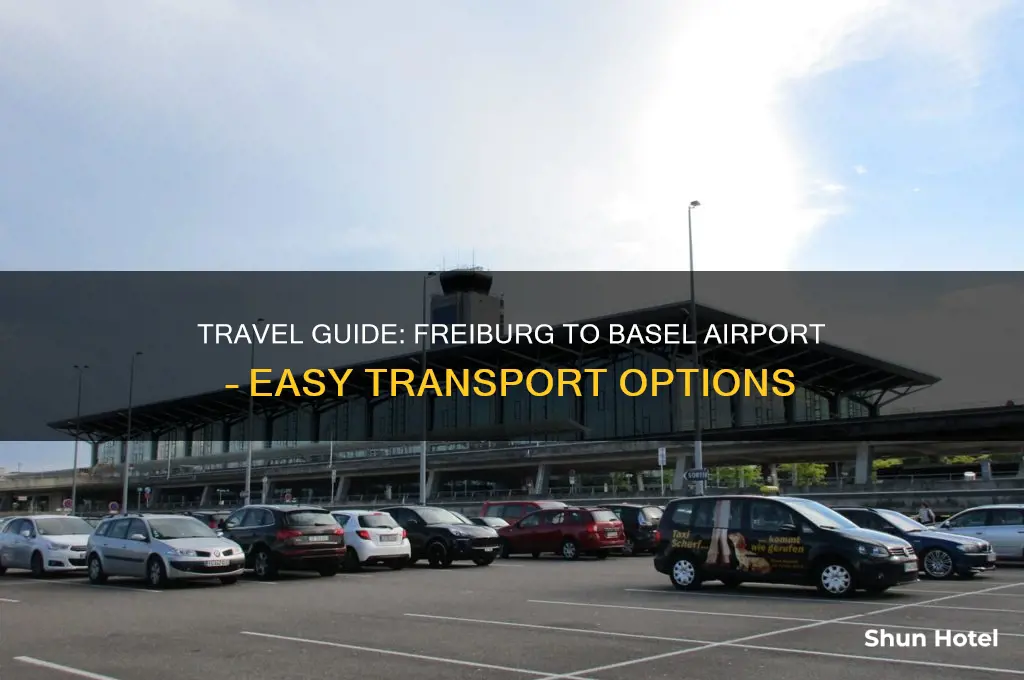 how to get from freiburg to basel airport