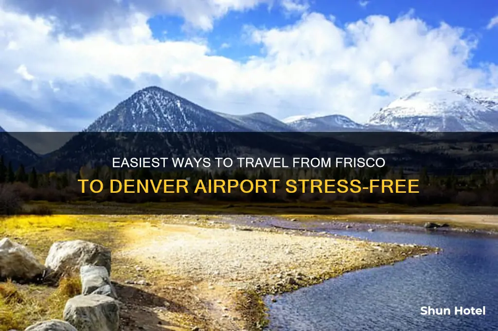 how to get from frisco to denver airport